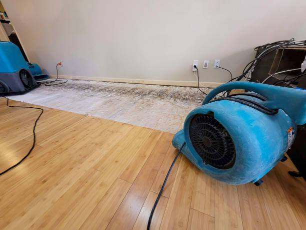Professional Basement Flood Cleanup technician working in Amityville, NY
